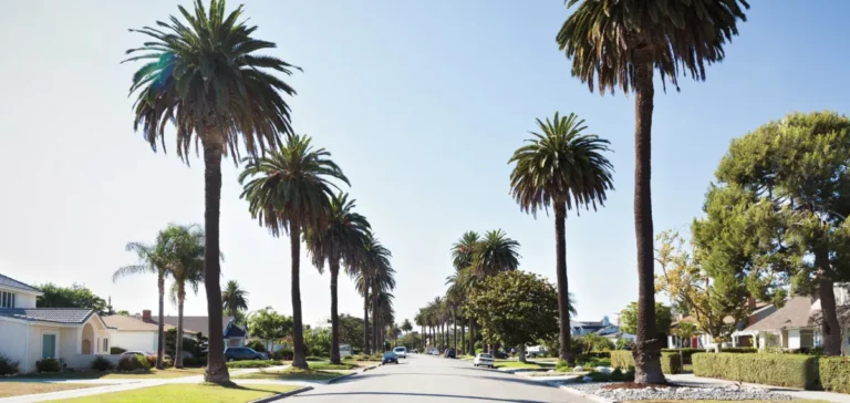Mar Vista Mar Vista